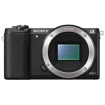 SONY α5100 ILCE-5100 61mDfQY-f+L._UF350,350_QL50_.jpg